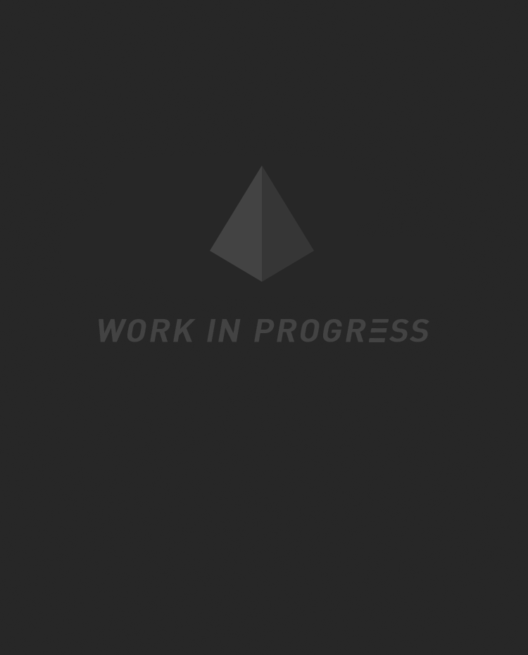 Work In Progress